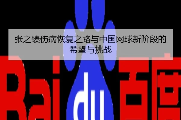 张之臻伤病恢复之路与中国网球新阶段的希望与挑战