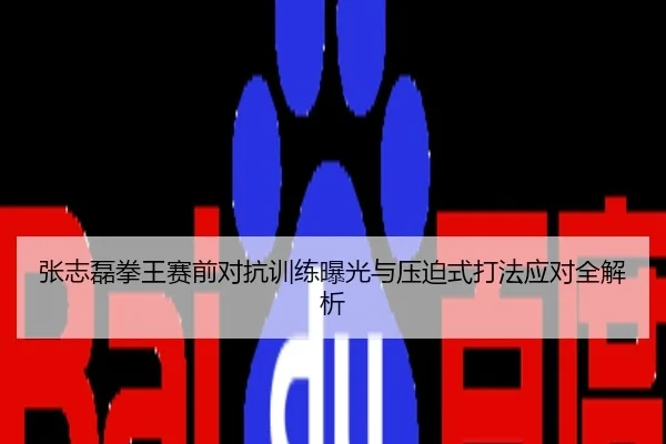 张志磊拳王赛前对抗训练曝光与压迫式打法应对全解析